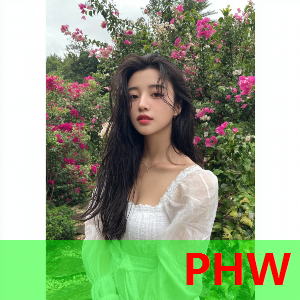 雨林探秘漫画封面